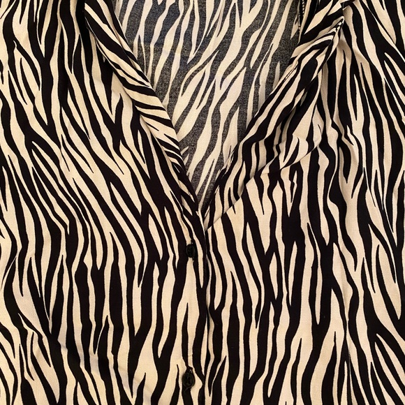 Zara zebra stripe button up - Picture 3 of 3